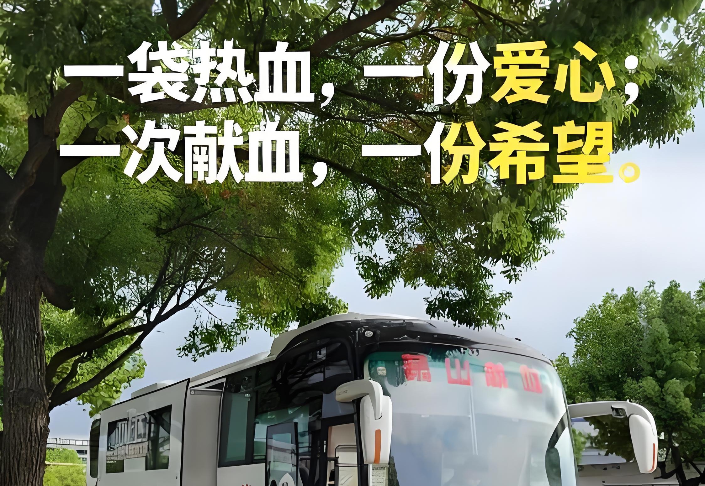 恩希爱无偿献血活动圆满成功